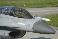 Falcon-varied (7)