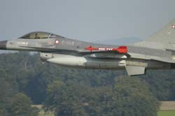 Falcon-varied (71)