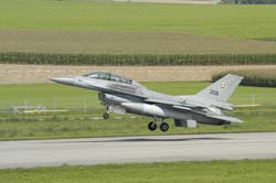 Falcon-varied (73)