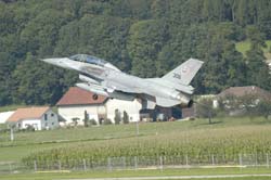 Falcon-varied (75)