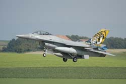 Falcon-varied (77)