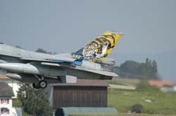 Falcon-varied (78)