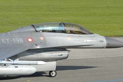 Falcon-varied (8)