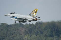 Falcon-varied (80)