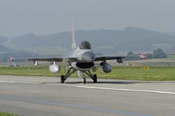 Falcon-varied (9)