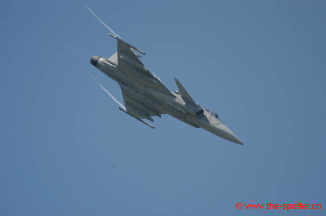 Gripen (19)