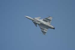 Gripen (8)