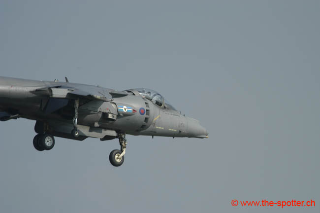 GR7-Harrier (18)