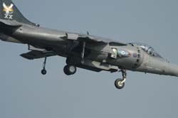 GR7-Harrier (17)