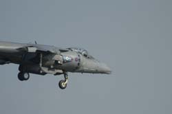 GR7-Harrier (18)