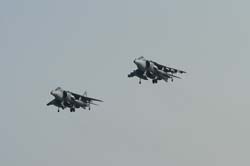GR7-Harrier (36)