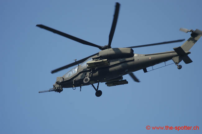 helico-varied (30)