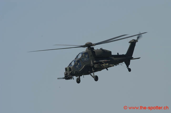 helico-varied (37)