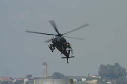 helico-varied (2)