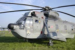 helico-varied (22)