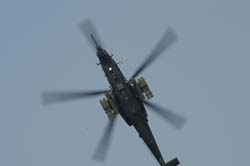helico-varied (3)