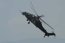 helico-varied (6)