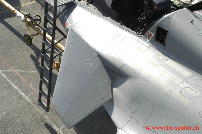 Rafale (29)
