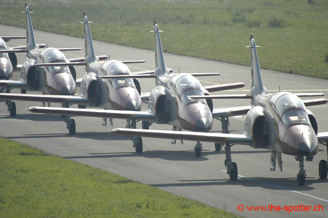 Team-Aguila (14)