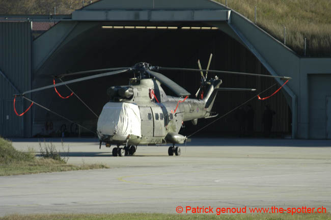 Puma-Mk1-RAF (4)