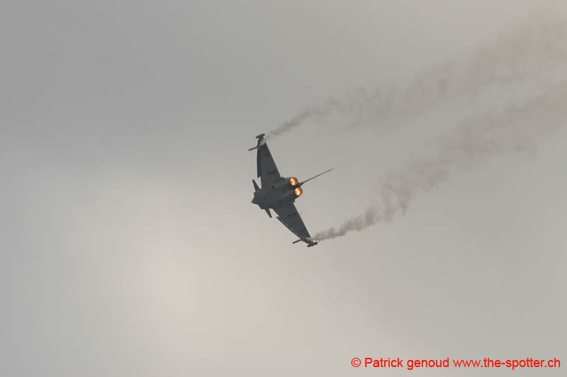 DSC_2831