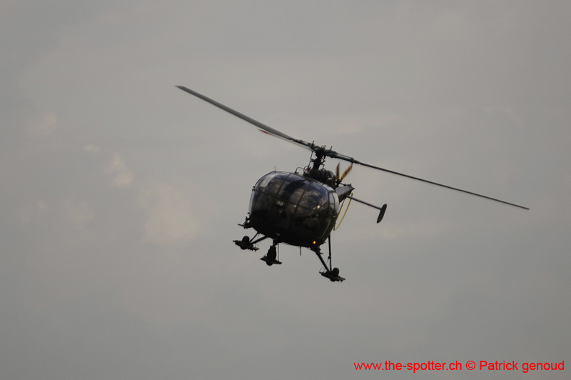 Falcon VS Hornet 23-24.08148