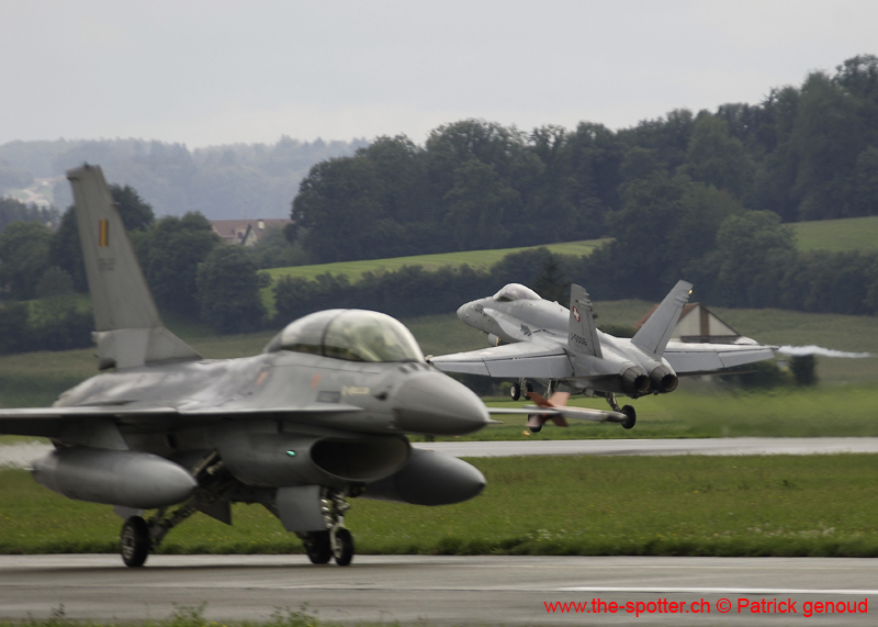Falcon VS Hornet 23-24.08172