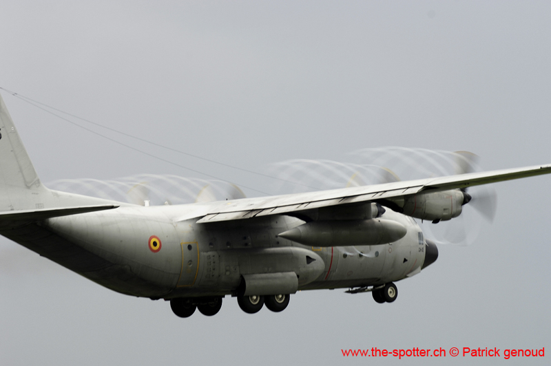 Falcon VS Hornet 23-24.08222