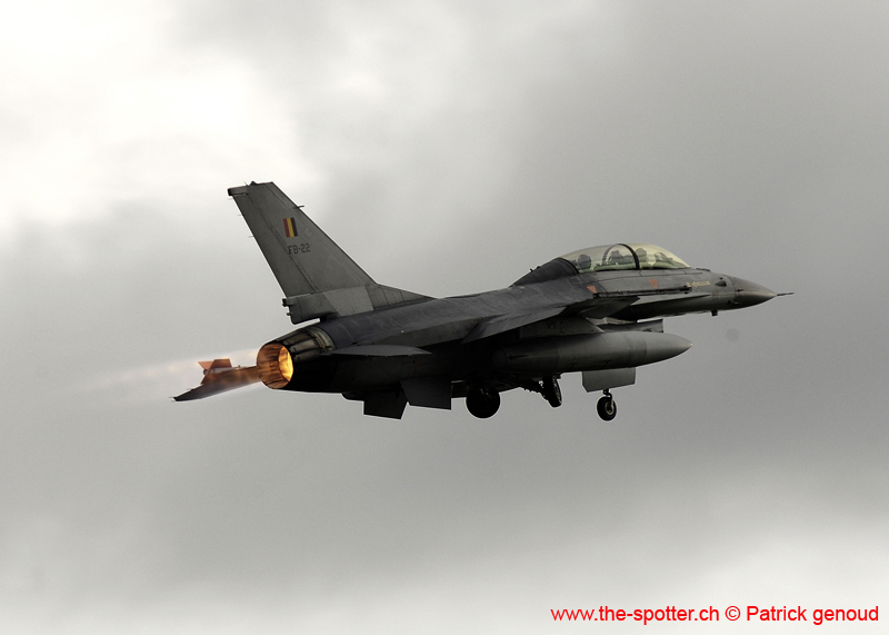 Falcon VS Hornet 23-24.08230