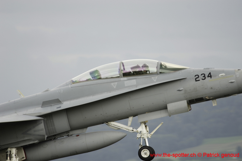 Falcon VS Hornet 23-24.08236