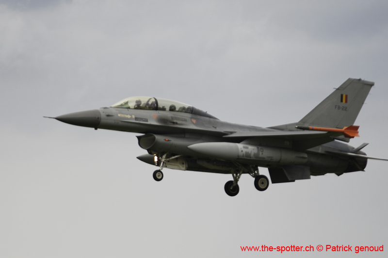 Falcon VS Hornet 23-24.08240
