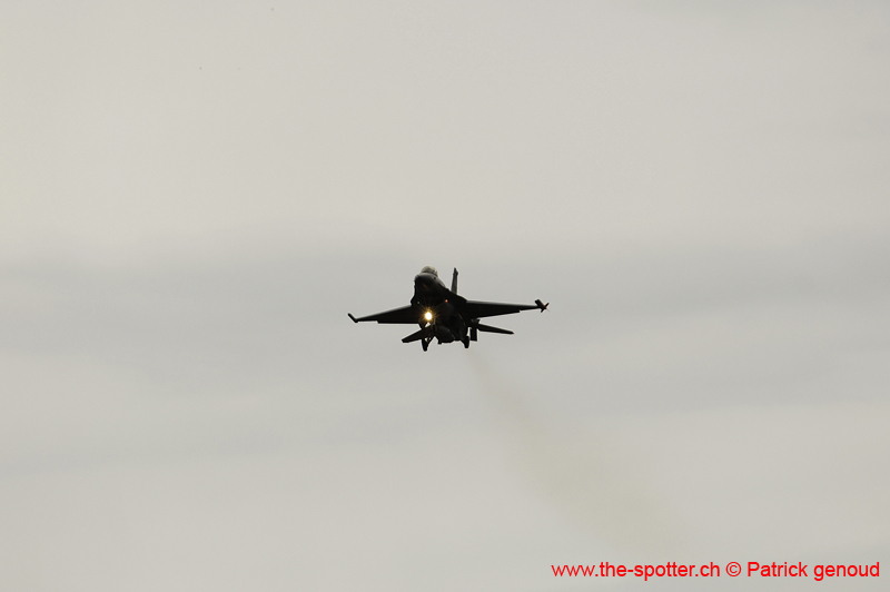Falcon VS Hornet 23-24.08241