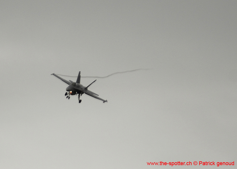 Falcon VS Hornet 23-24.08249