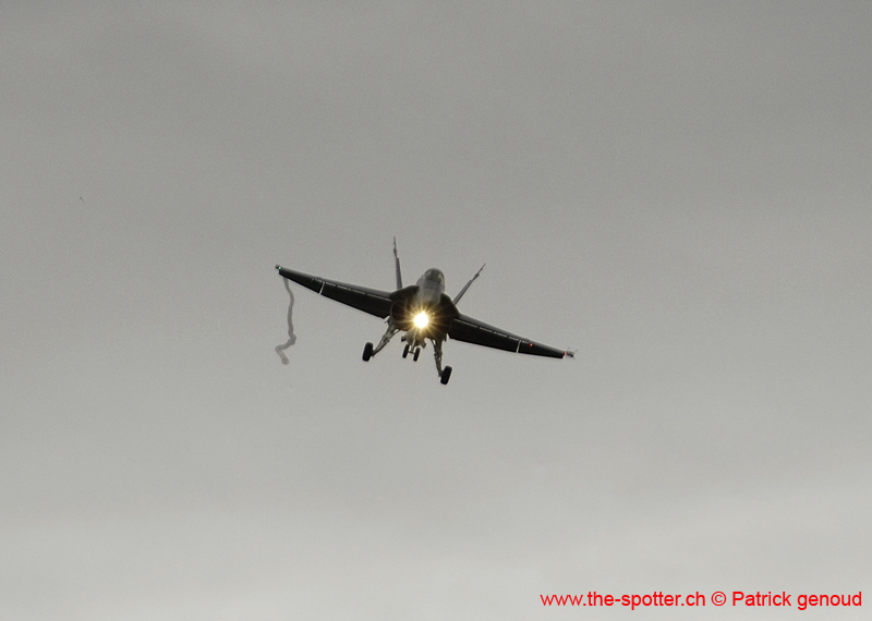 Falcon VS Hornet 23-24.08250
