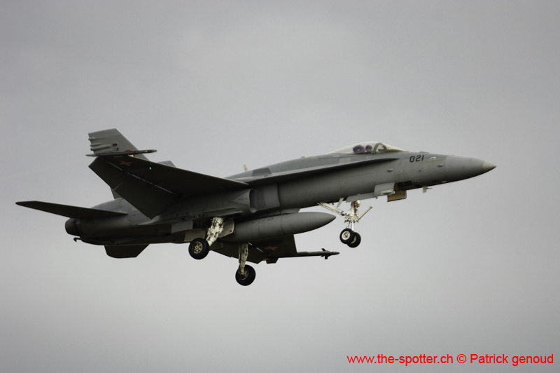 Falcon VS Hornet 23-24.08251