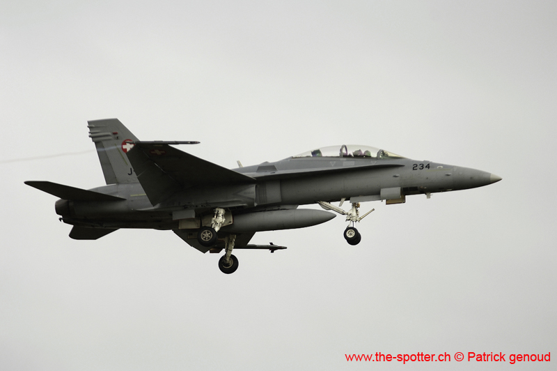 Falcon VS Hornet 23-24.08252