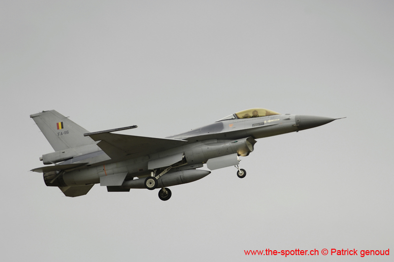 Falcon VS Hornet 23-24.08254