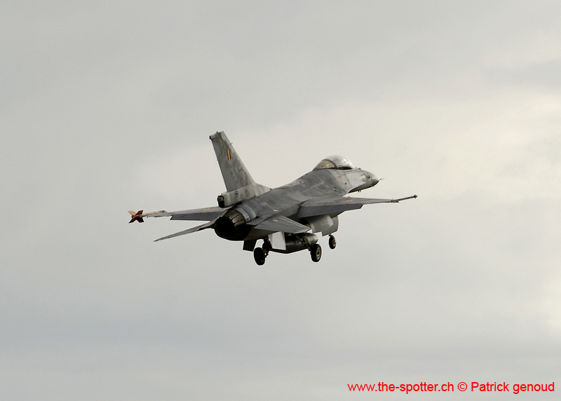 Falcon VS Hornet 23-24.08260