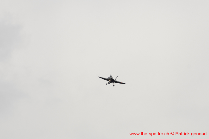 Falcon VS Hornet 23-24.08261