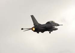 Falcon VS Hornet 23-24.08231