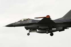 Falcon VS Hornet 23-24.08243