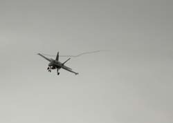 Falcon VS Hornet 23-24.08249