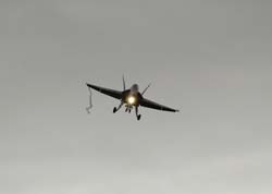 Falcon VS Hornet 23-24.08250