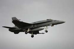 Falcon VS Hornet 23-24.08251