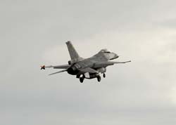 Falcon VS Hornet 23-24.08260