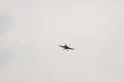 Falcon VS Hornet 23-24.08261