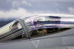 Falcon VS Hornet 23-24.08271