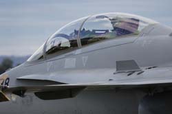 Falcon VS Hornet 23-24.08276