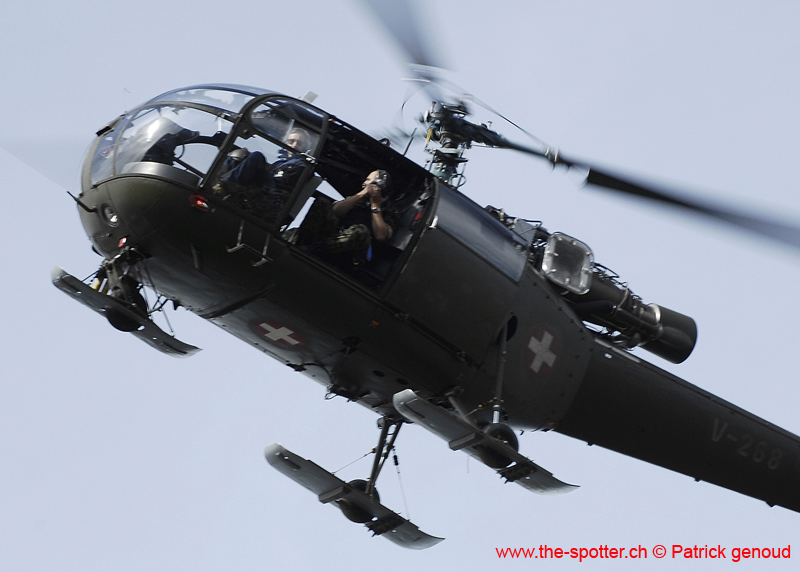 axalp 11-10-06168