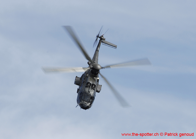 axalp 11-10-06173